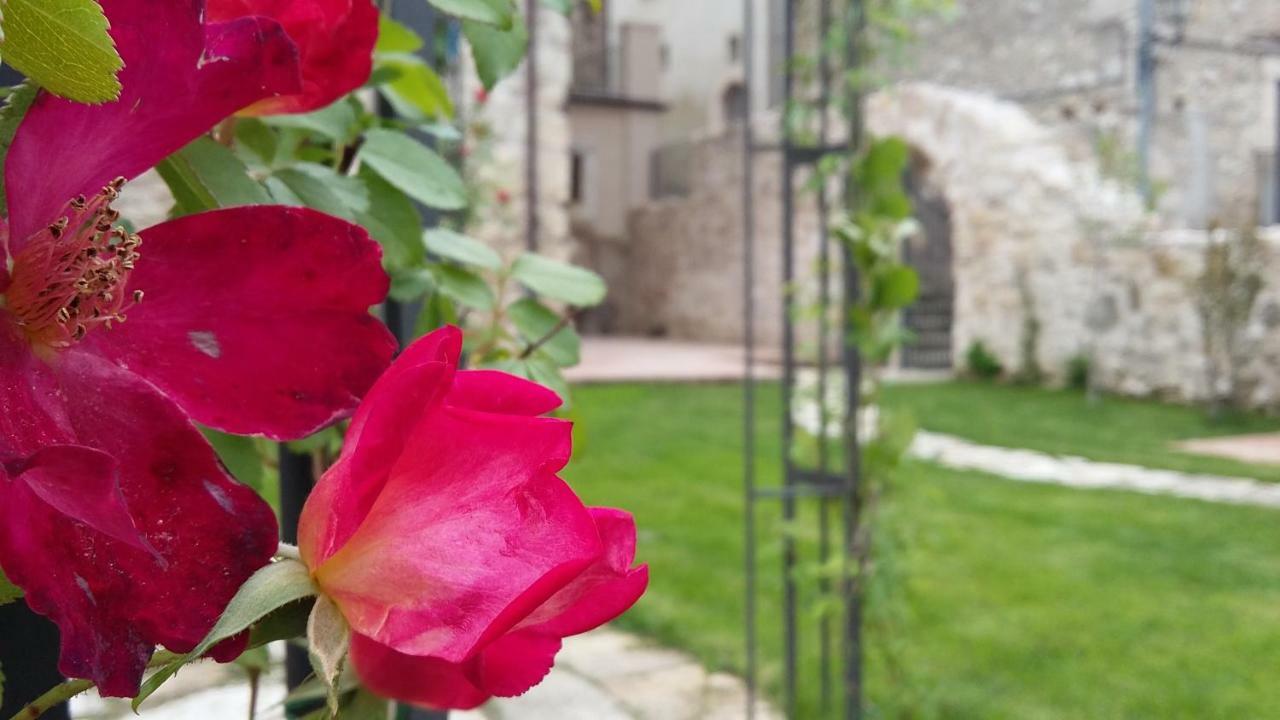 Alloggi Agrituristici Antica Dimora Villa San Demetrio ne' Vestini Kültér fotó